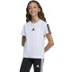 Sportlandia-30