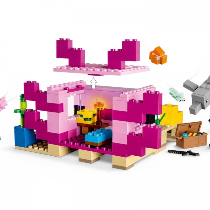 Constructori Lego 21247 21247 - 3