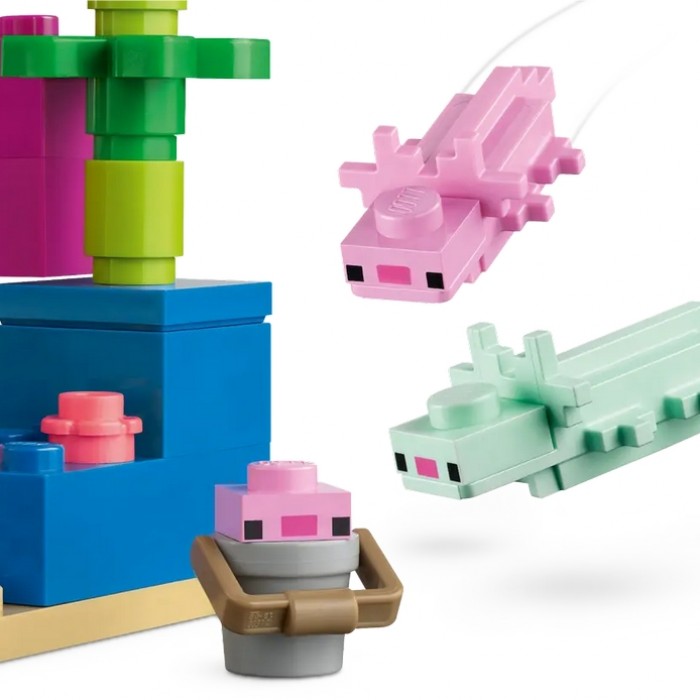 Constructori Lego 21247 21247 - 4