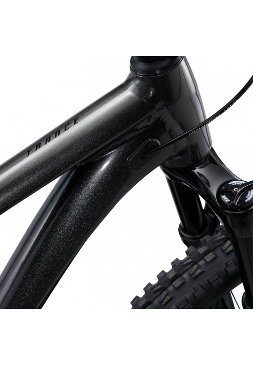 Bicicleta de munte Giant Trance 29 2