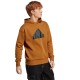 Толстовка Adidas M FI BOS HD IC3748