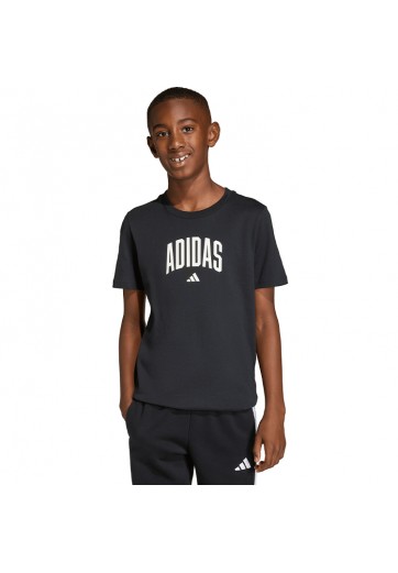 Футболка Adidas Collegiate Graphic