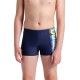 Плавки-шорты Arena LIGHT TRICKS SWIM SHORT 008344-750