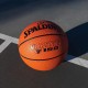Minge baschet Spalding TF150 VARSITY TF-150 - imagine №5