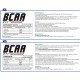 Aminoacizi Balkan Pharmaceuticals BCAA powder N1 500gr BF1251 - 2