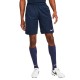Шорты Nike M NK DF PARK20 SHORT KZ CW6152-451