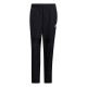 Брюки Adidas TIRO19 WOV PNT D95951