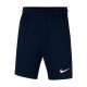 Шорты Nike Y NK DF PARK20 SHORT KZ DB8244-451
