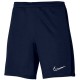 Шорты Nike M NK DF ACD23 SHORT K DR1360-451