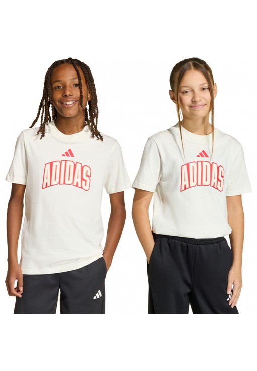 Футболка Adidas STADIUM TEE