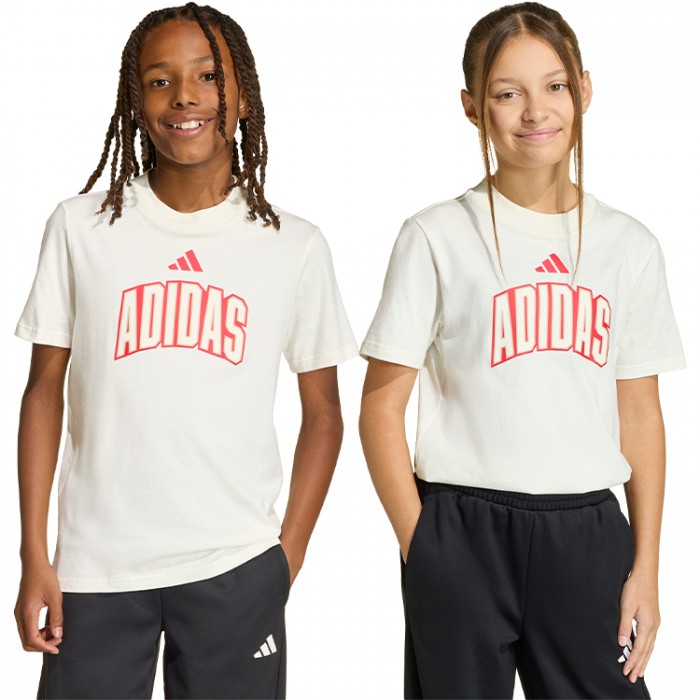 Футболка Adidas STADIUM TEE