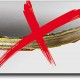 Ракетка для настольного тенниса Donic Protection Line S300 703054 - 3