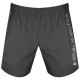Шорты для плавания EA7 EMPORIO ARMANI BOXER BEACHWEAR 902035-CC720-06354