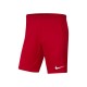 Шорты Nike Y NK DRY PARK III SHORT NB K BV6865-657