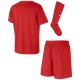 Набор футболка + шорты Nike Park Little Kids Set CD2244-657 - 3