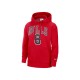 Толстовка Nike CHI M NK PO FLC ESSNTL N&N  DB1208-657
