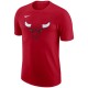 Tricou Nike CHI M NK ES LOGO1 SS TEE FJ0231-657 - 2