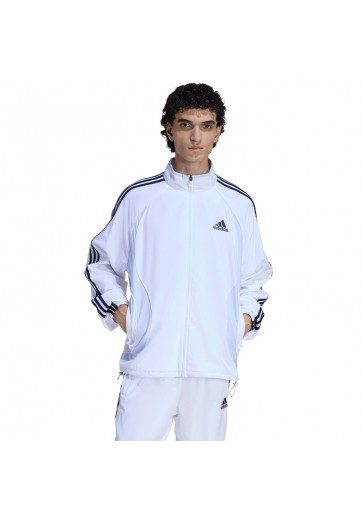 Толстовка Adidas TEAMGEIST ADICOLOR
