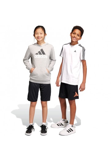 Шорты Adidas U TR-ES LOGO SH