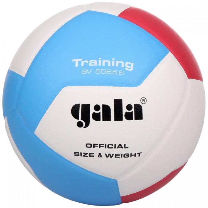 Волейбольный мяч inSPORTline Gala Training BV5565S