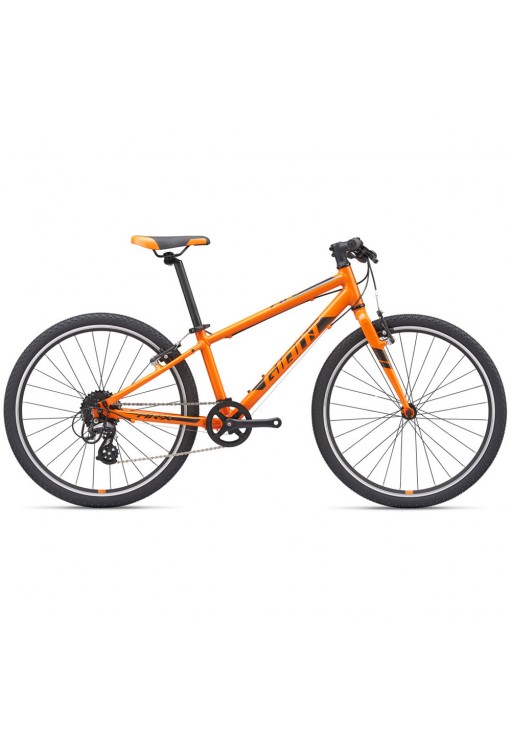 Велосипед для детей Giant ARX 24