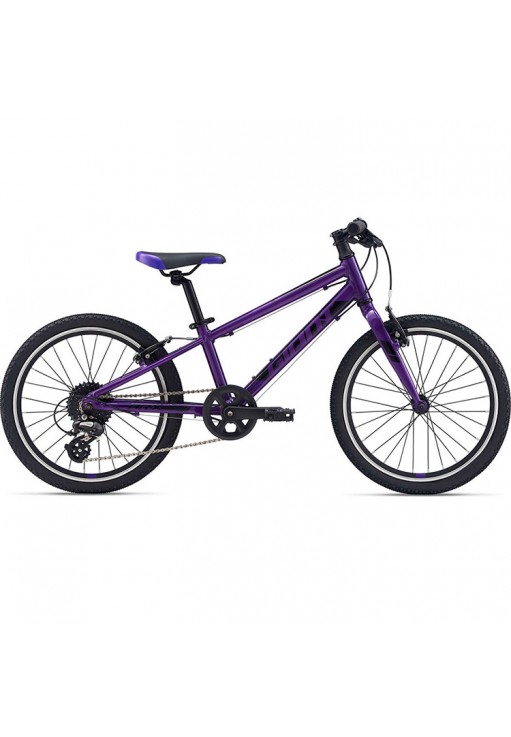 Bicicleta p/u copii Giant ARX 20