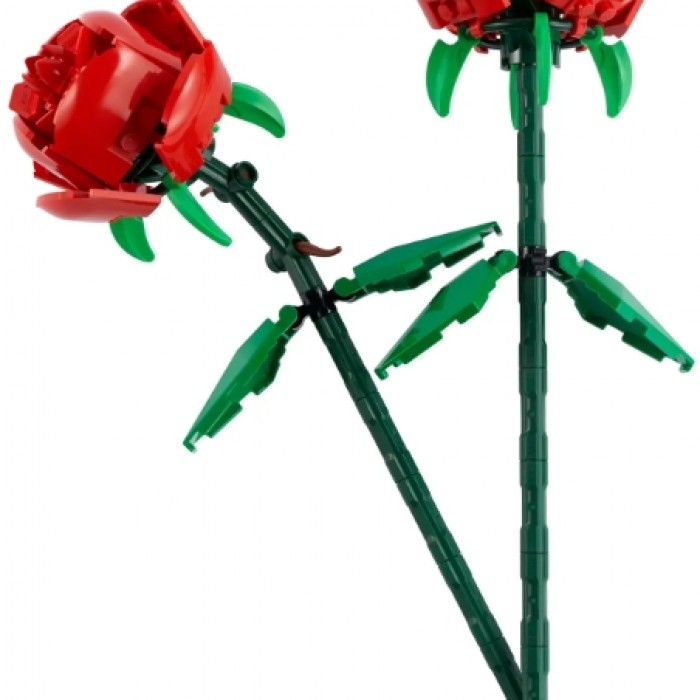 Constructori Lego 40460 40460 - 2