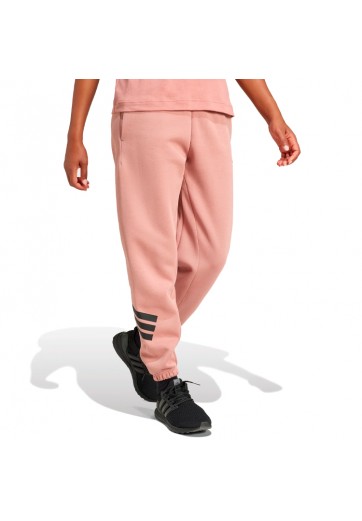 Брюки Adidas W FI 3S REG PT