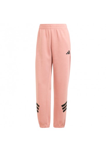 Брюки Adidas W FI 3S REG PT