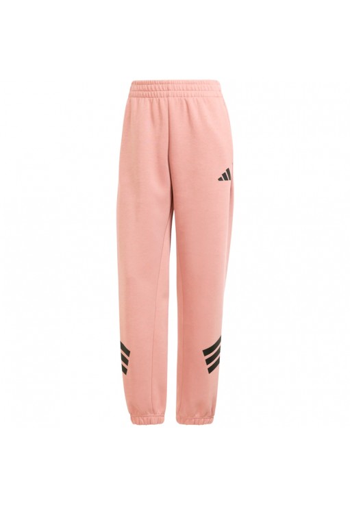 Брюки Adidas W FI 3S REG PT