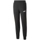 Брюки Puma ESS+ 2 Col Logo Pants FL 58676761