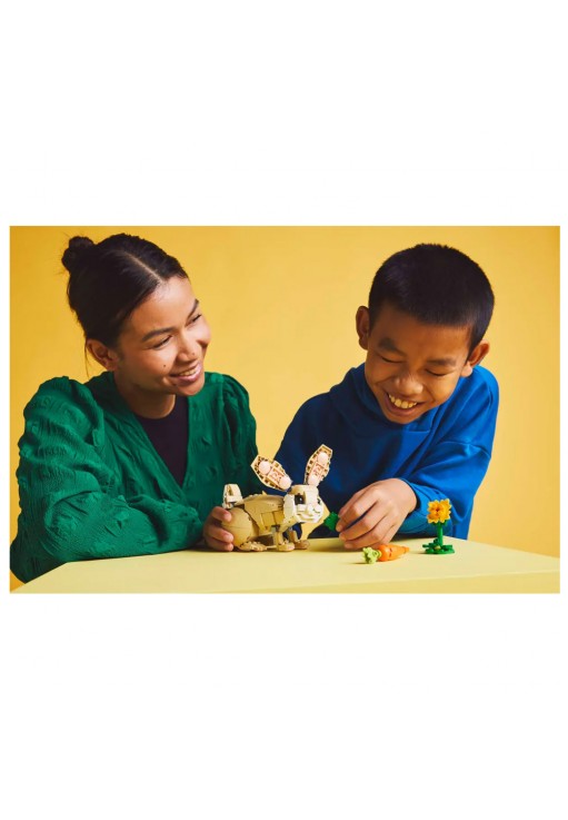 Constructor Lego 31162