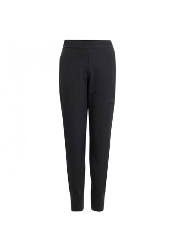 Брюки Adidas J ZNE Q2 PANT