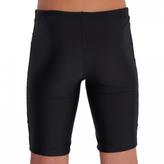 Плавки-шорты Speedo MEDLEY LOGO JAMMER JM - 4