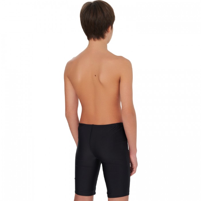 Плавки-шорты Speedo MEDLEY LOGO JAMMER JM - 5