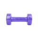 Гантель 1 кг Sport Ganter 1466 - 2