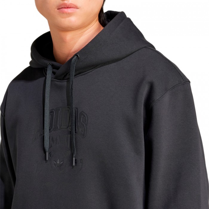 Толстовка Adidas VRCT HOODED 1 IZ2566 - изображение №3