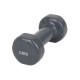 Gantera 2.5kg Sport Ganter 1469