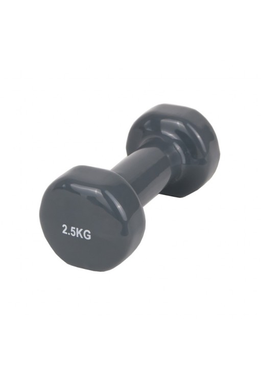 Гантель 2.5 кг Sport Ganter