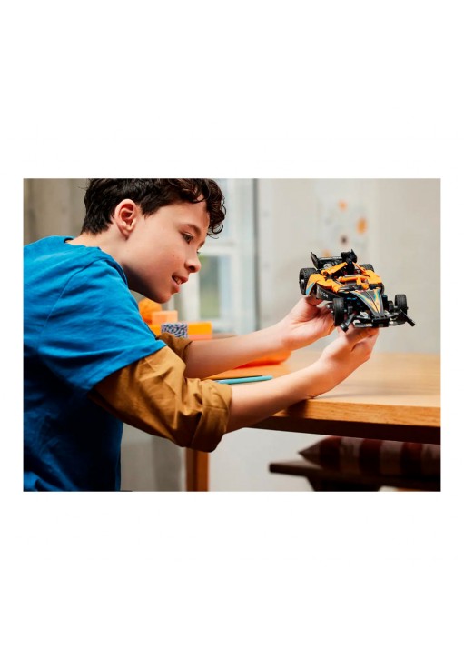 Constructor Lego 42169