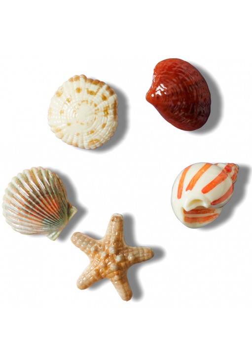 Джибитсы Crocs She Sells Seashells 5 Pack