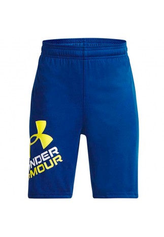 Шорты Under Armour UA BGS PROTOTYPE 2.0 LOGO SHORTS