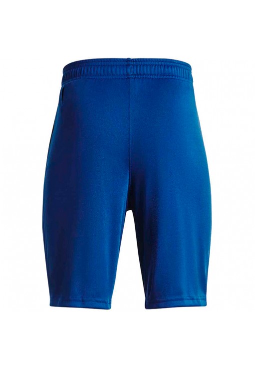 Шорты Under Armour UA BGS PROTOTYPE 2.0 LOGO SHORTS