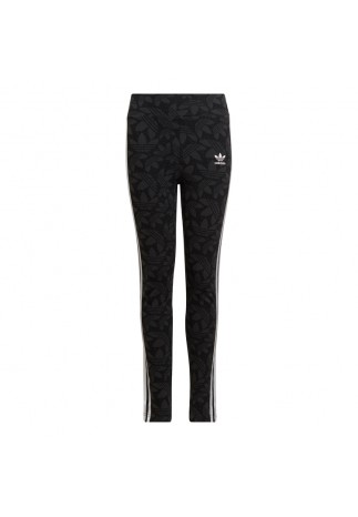 Panta-colanti Adidas LEGGINGS HW   