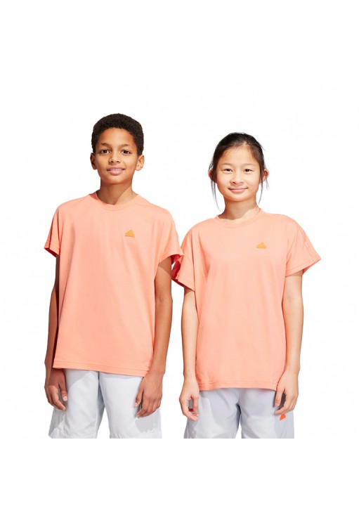 Футболка Adidas U CE Q2 TEE