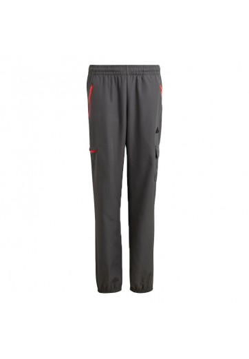 Pantaloni Adidas U CE Q2 CRGO PT