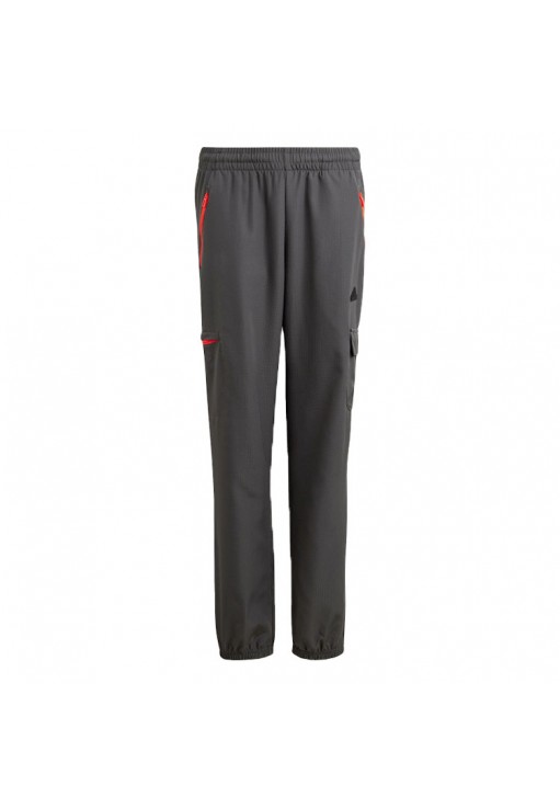 Брюки Adidas U CE Q2 CRGO PT