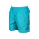 Шорты для плавания Arena FUNDAMENTALS LOGO JR BOXER 000662-876