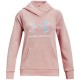 Толстовка Under Armour Rival Logo Hoodie 1366399-676