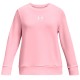 Толстовка Under Armour UA G RIVAL TERRY CREW 1377022-676